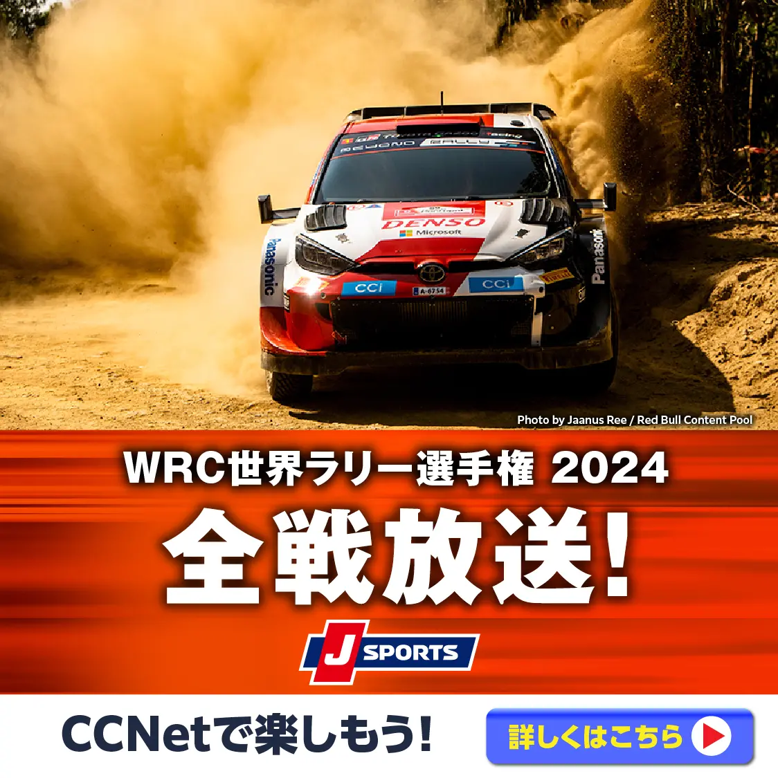 WRC世界ラリー選手権2024全戦放送！CCNetで楽しもう！