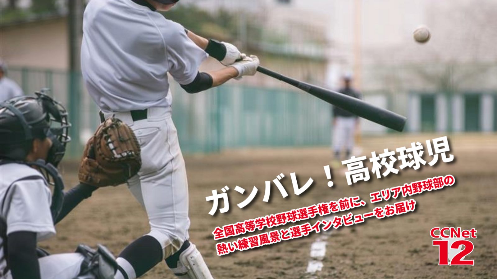 ガンバレ！高校球児