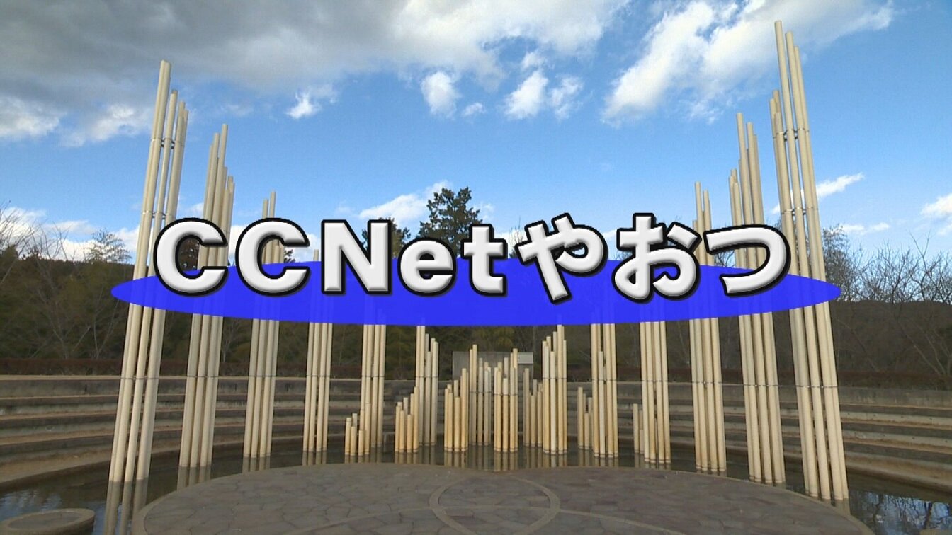 CCNetやおつ