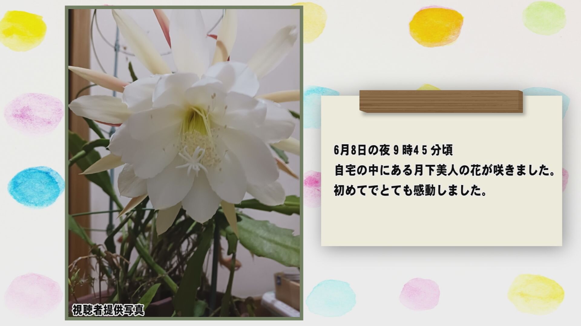 Still0717_00005.jpg