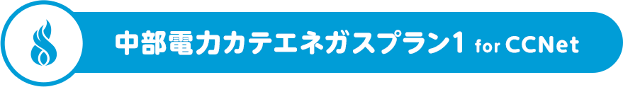 中部電力カテエネガスプラン1 for CCNet