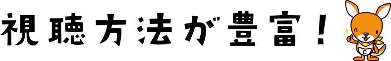 視聴方法が豊富！