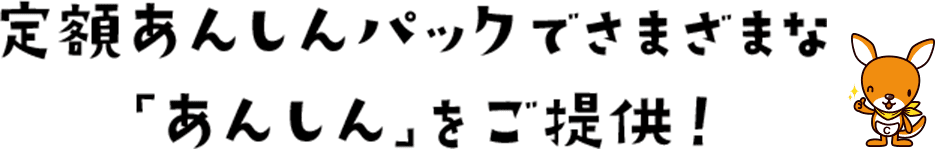 定額あんしんパックでさまざまな「あんしん」をご提供！